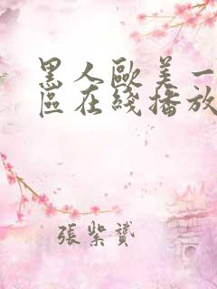 黑人欧美一区二区在线播放