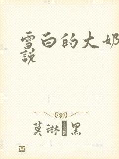 雪白的大奶子小说