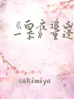 《白夜追凶 第一季》重逢版免费看10集