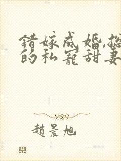 错嫁成婚,总裁的私宠甜妻