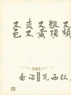 又爽又粗又猛又色又黄视频