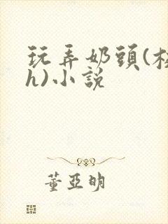 玩弄奶头(校园h)小说