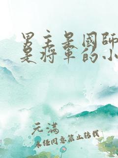 男主是国师女主是将军的小说