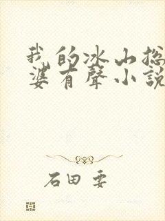 我的冰山总裁老婆有声小说