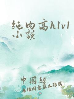 纯肉高h1v1小说