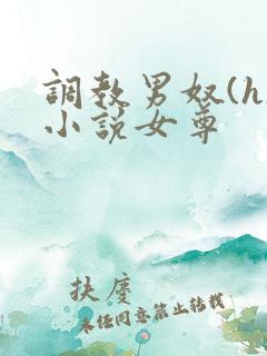 调教男奴(h)小说女尊