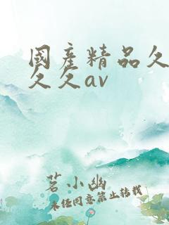 国产精品久久久久久av