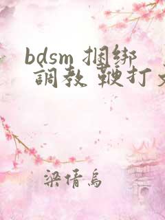 bdsm 捆绑 调教 鞭打文