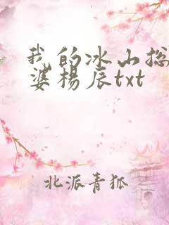 我的冰山总裁老婆杨辰txt