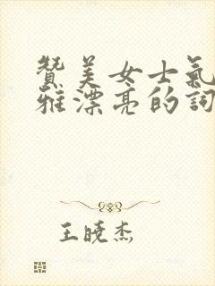 赞美女士气质高雅漂亮的词