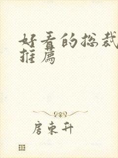 好看的总裁小说推荐