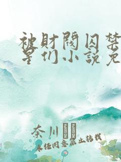 被财阀囚禁的明星们小说免费阅读