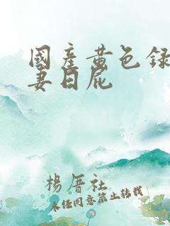 国产黄色录像夫妻日屁