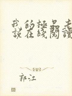 我的极品老婆小说在线阅读