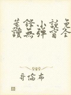 叶锋小说免费阅读无弹窗全文