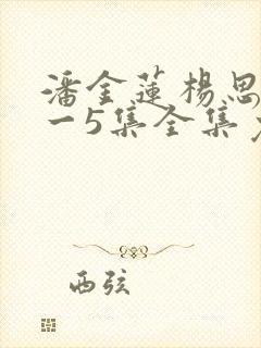 潘金莲杨思敏1一5集全集免费播放