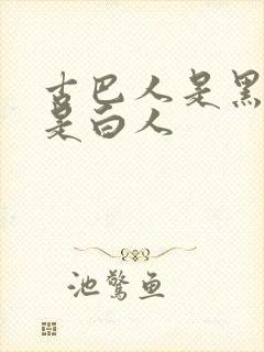 古巴人是黑人还是白人