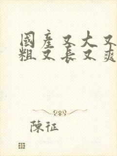 国产又大又硬又粗又长又爽的视频