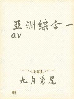 亚洲综合一区二av