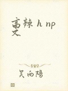 高辣 h np文