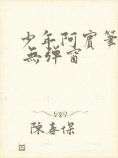 少年阿宾笔趣阁 无弹窗