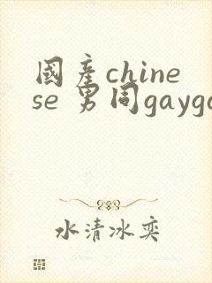 国产chinese 男同gaygay 网站