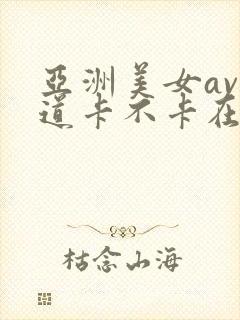 亚洲美女av一道卡不卡在线观看