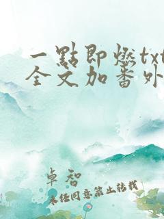 一点即燃txt全文加番外