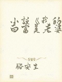 小说《我的总裁白富美老婆》