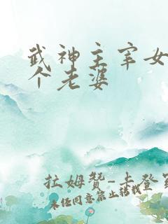 武神主宰女主几个老婆