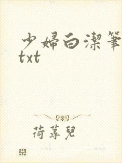 少妇白洁笔趣阁txt