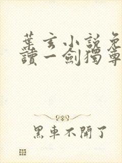 叶玄小说免费阅读一剑独尊