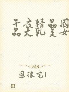 午夜精品国产精品大乳美女