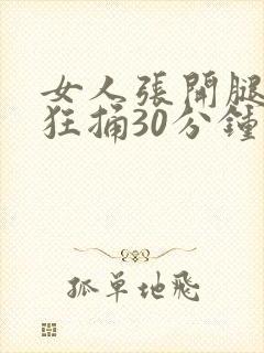 女人张开腿男人狂捅30分钟