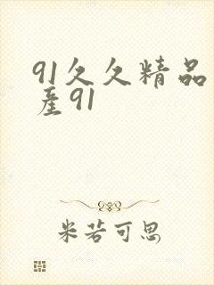 91久久精品国产91