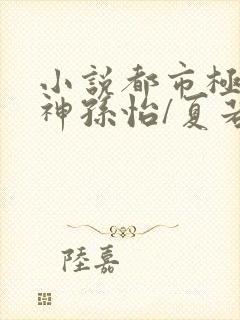 小说都市极品医神孙怡/夏若雪离线下载