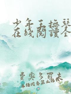 少年王抚琴的人在线阅读全文免费