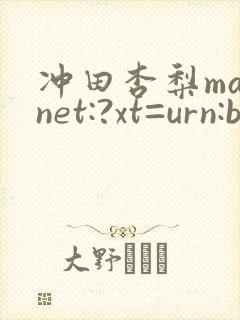 冲田杏梨magnet:?xt=urn:btih: