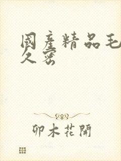 国产精品毛片久久密