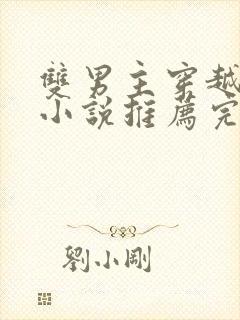 双男主穿越生子小说推荐完结文学