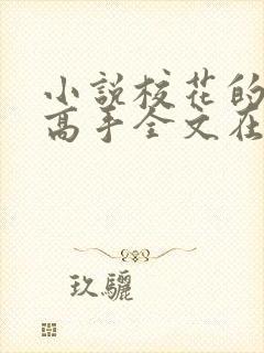 小说校花的贴身高手全文在线阅读