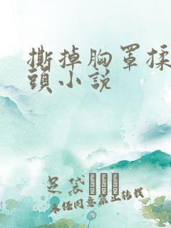 撕掉胸罩揉吮奶头小说