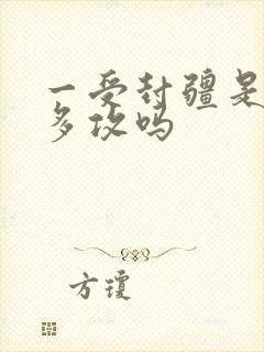 一受封疆是一受多攻吗