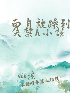 白月被躁到高潮失禁h小说