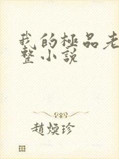 我的极品老婆完整小说