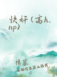 快奸 (高h.np)
