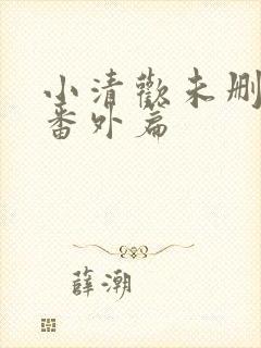 小清欢未删减版番外篇