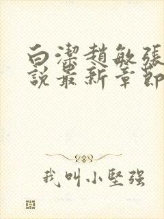 白洁赵敏张倩小说最新章节更新营免费阅读