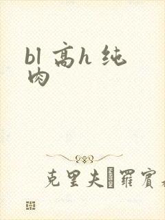 bl 高h 纯肉