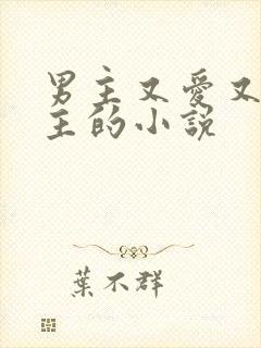 男主又爱又恨女主的小说